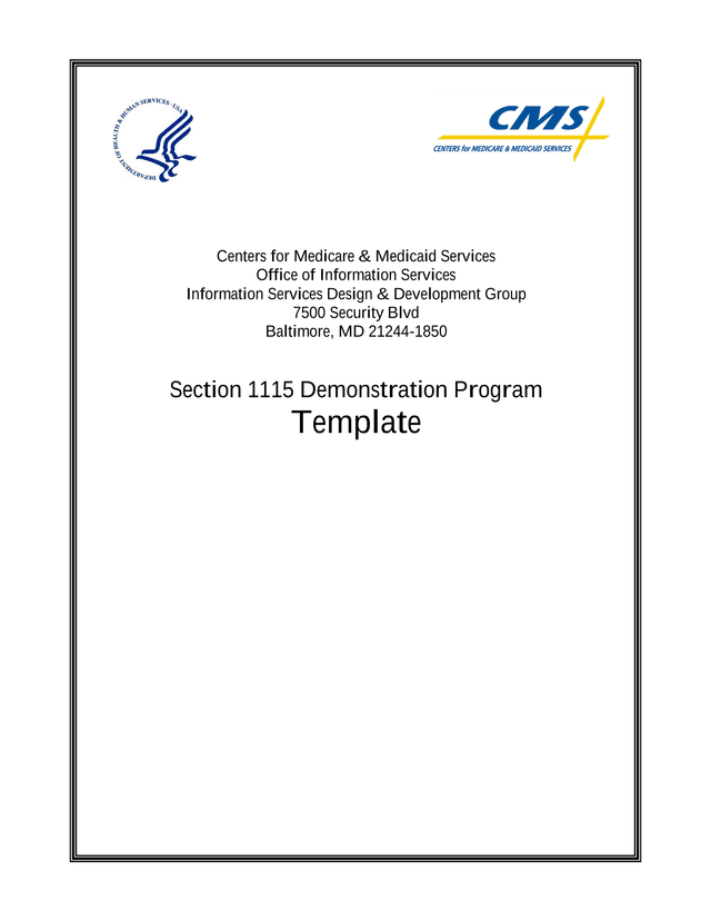 Section 1115 Demonstration Program Template screenshot