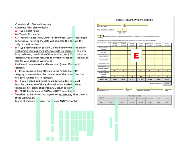 Frequently Asked Questions (FAQs) TIMESHEETS For Non Exempt Employees screenshot