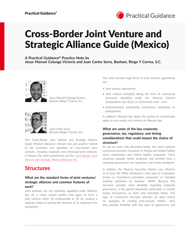 Cross Border Joint Venture And Strategic Alliance Guide (Mexico) screenshot