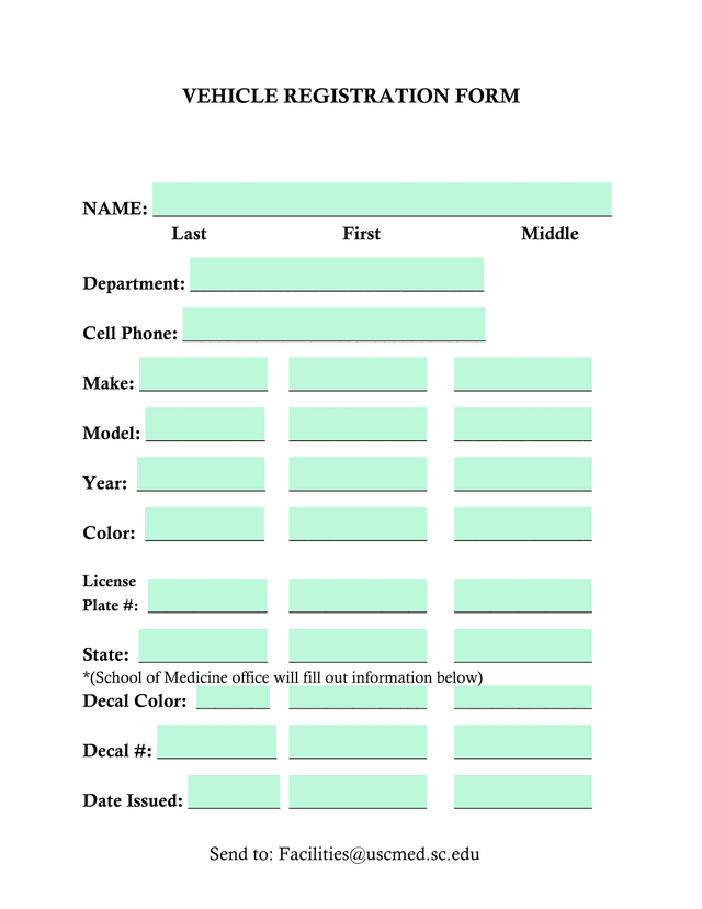Vehicle Registration Form screenshot