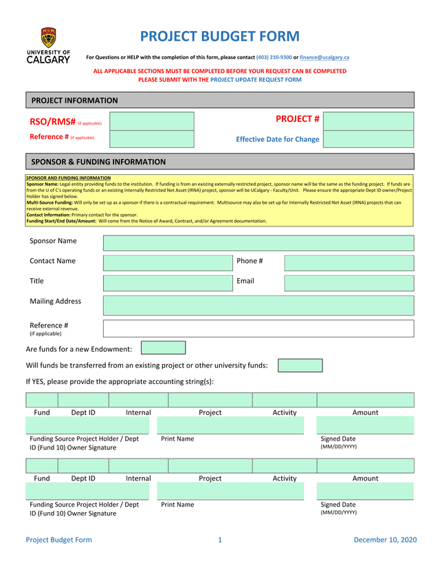 Project Budget Form screenshot