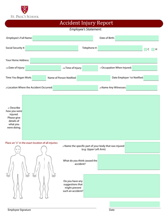 Accident Injury Report screenshot