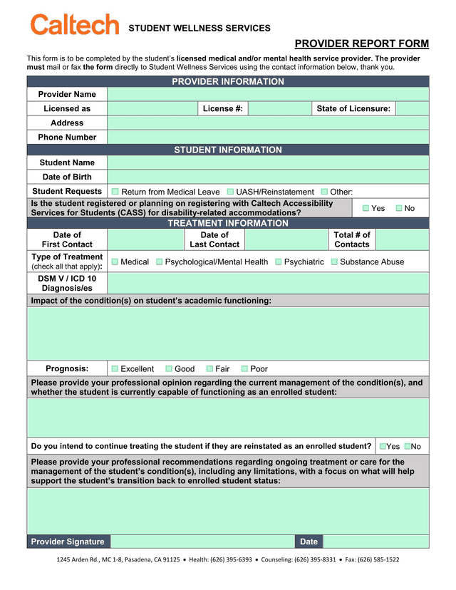 PROVIDER REPORT FORM screenshot