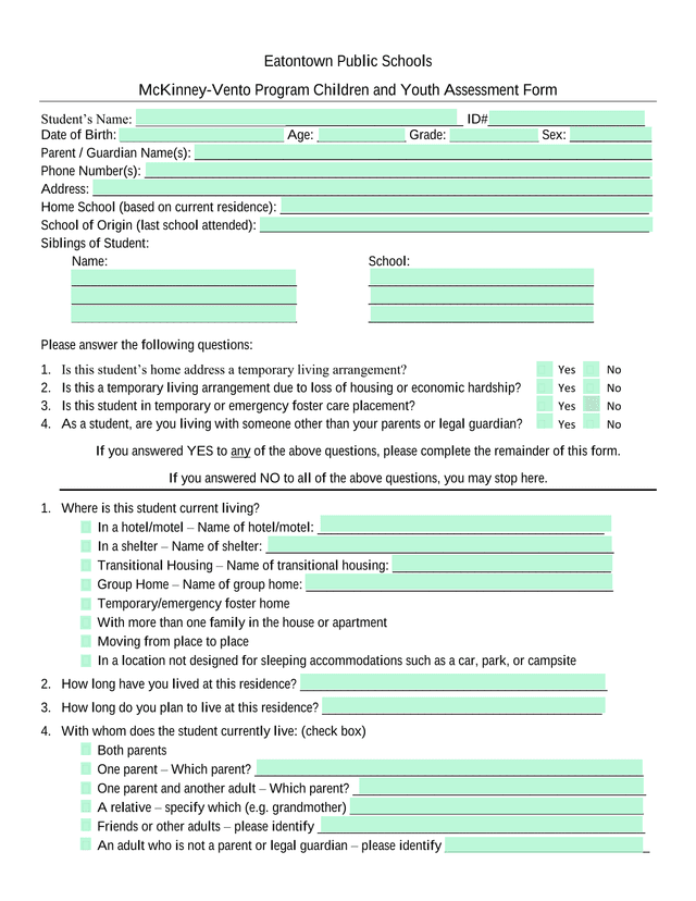 McKinney Vento Program Children And Youth Assessment Form screenshot