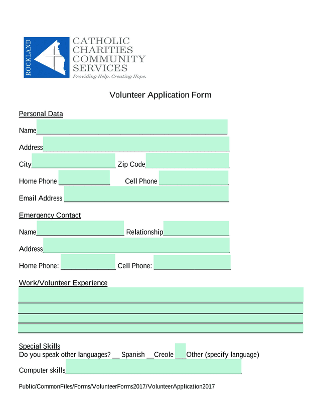 Volunteer Application Form screenshot