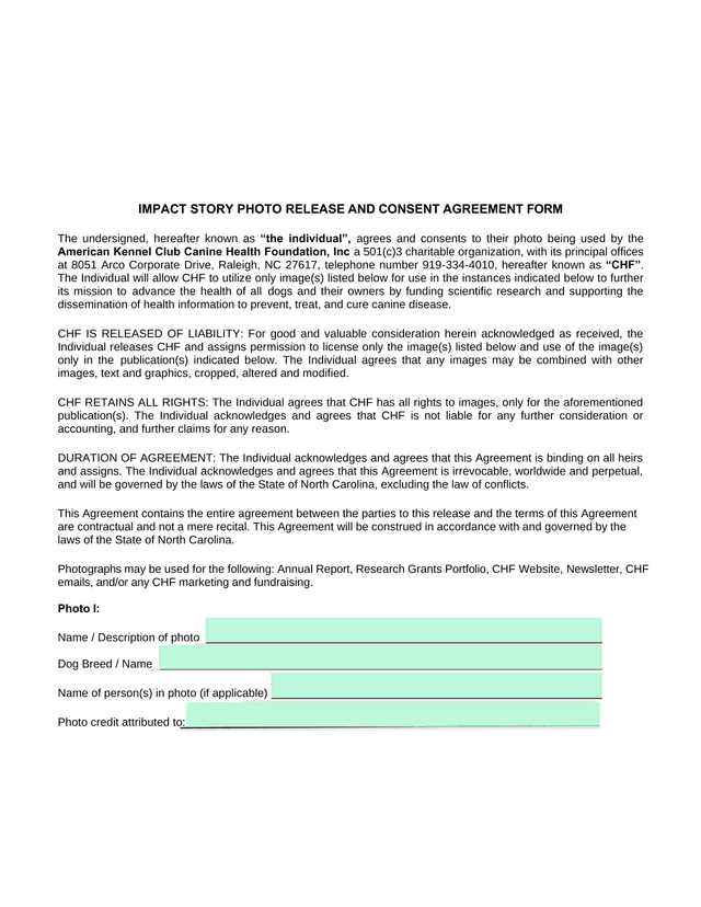 IMPACT STORY PHOTO RELEASE AND CONSENT AGREEMENT FORM screenshot