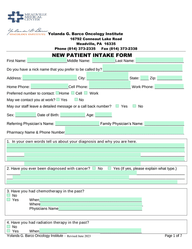 New Patient Intake Form screenshot
