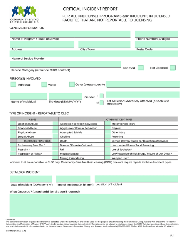 Critical Incident Report screenshot
