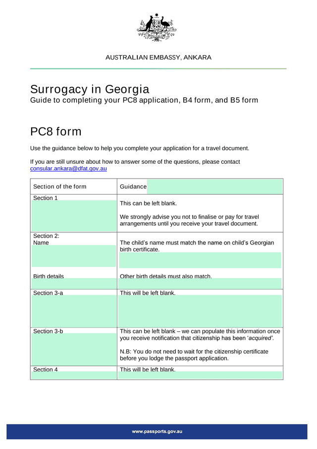 PC8 Form For Travel Document Application screenshot