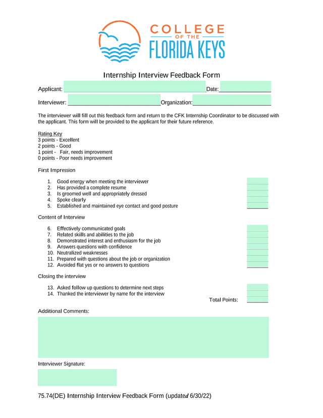 75.74(DE) Internship Interview Feedback Form screenshot