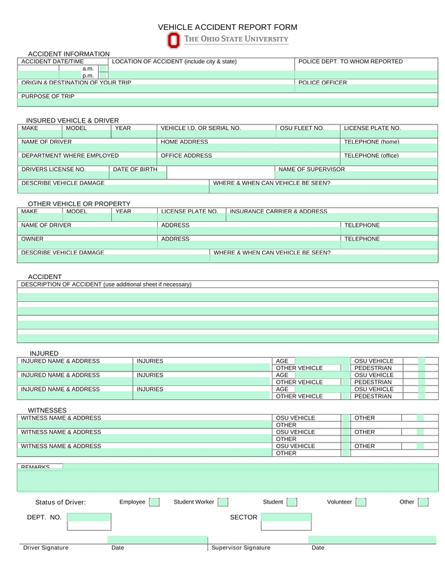 Vehicle Accident Report Form screenshot