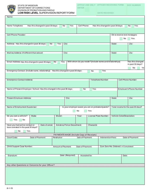 Low Risk Level Supervision Report Form screenshot