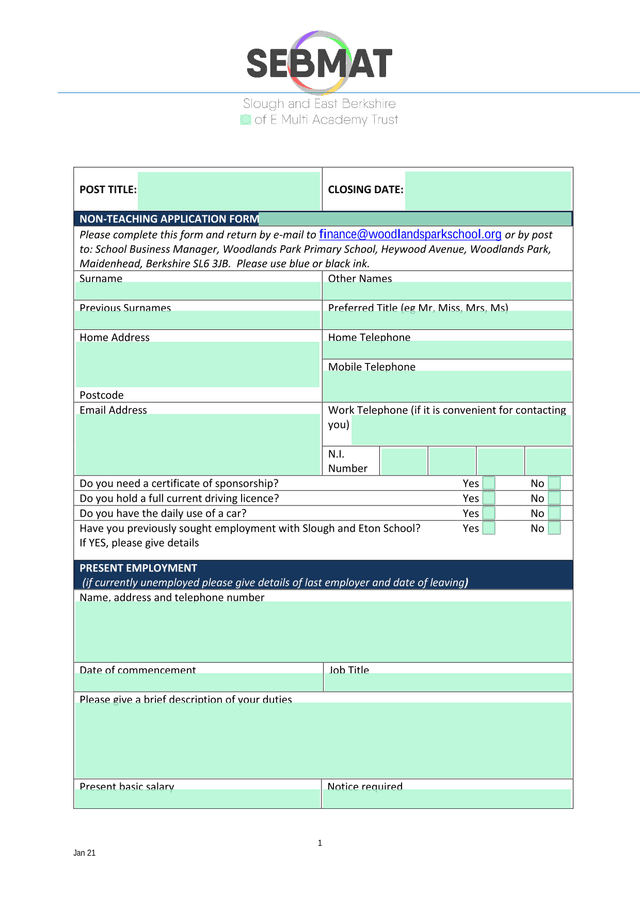 NON TEACHING APPLICATION FORM screenshot