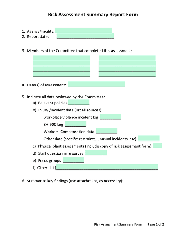 Risk Assessment Summary Report Form screenshot