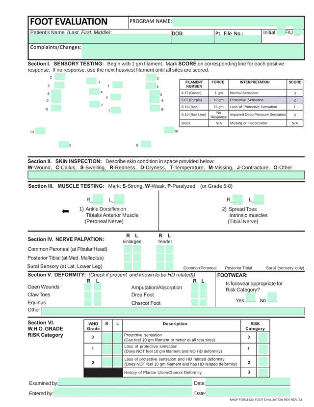 NHDP Form 133 Foot Evaluation screenshot