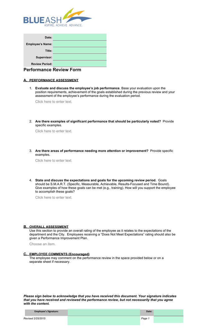 Performance Review Form screenshot