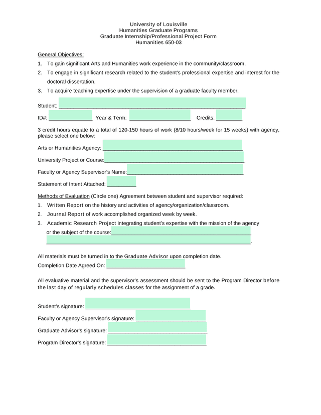Graduate InternshipProfessional Project Form screenshot