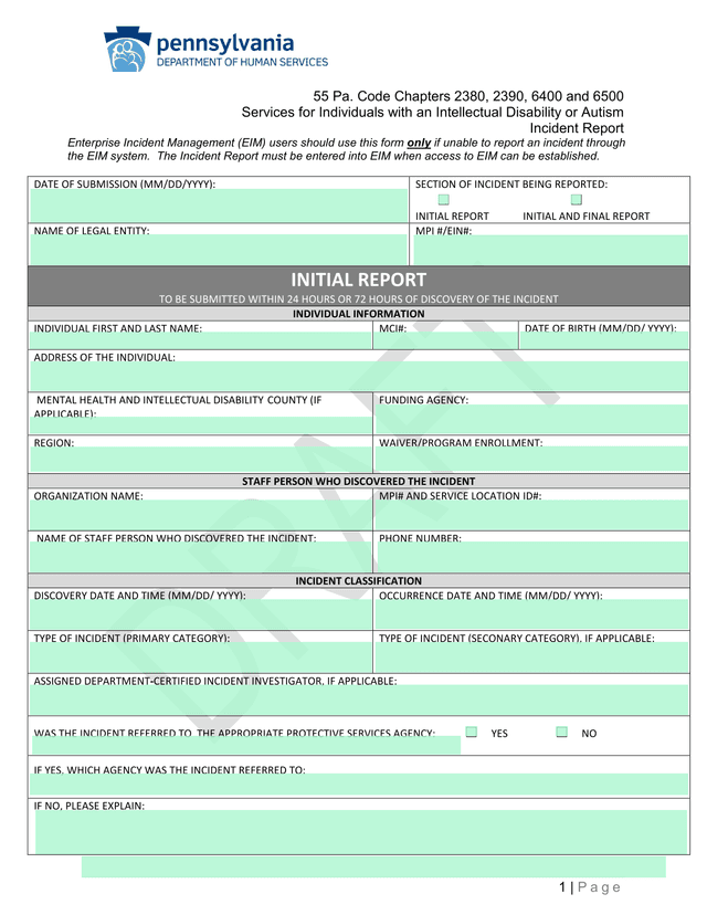 Incident Report (Services For Individuals With An Intellectual Disability Or Autism) screenshot