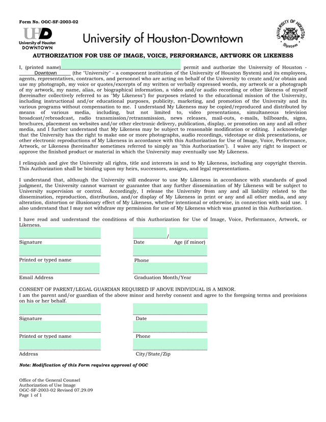 Authorization For Use Of Image, Voice, Performance, Artwork Or Likeness screenshot