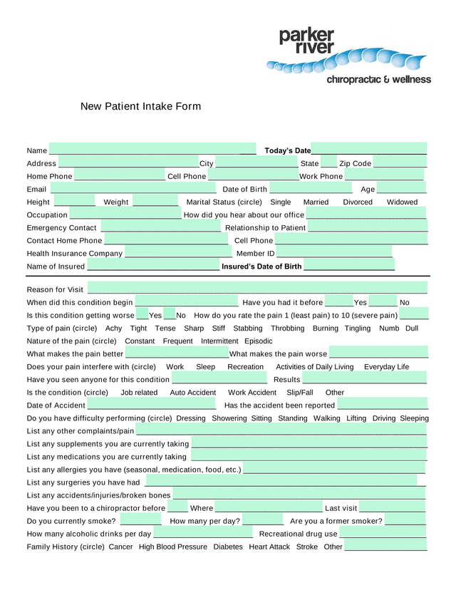 New Patient Intake Form screenshot