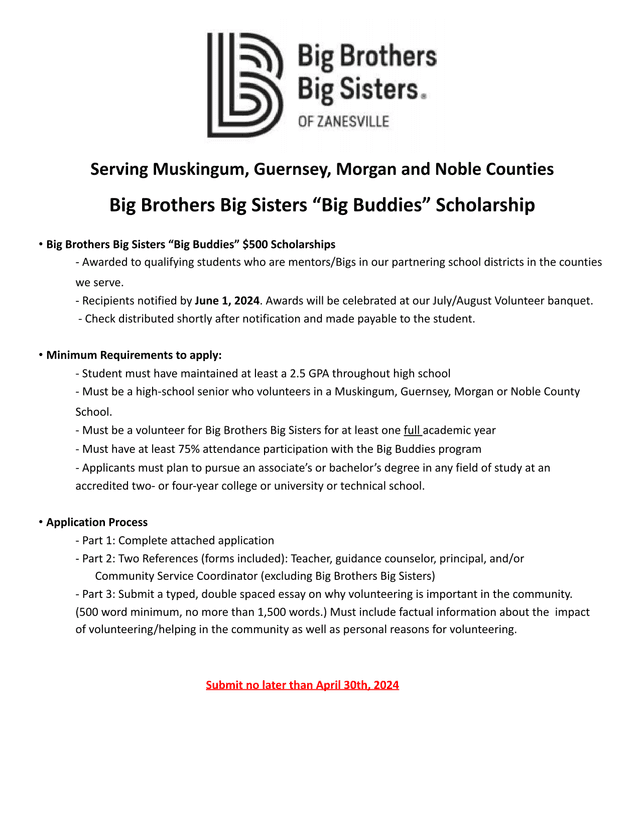 Big Brothers Big Sisters Big Buddies Scholarship Application screenshot