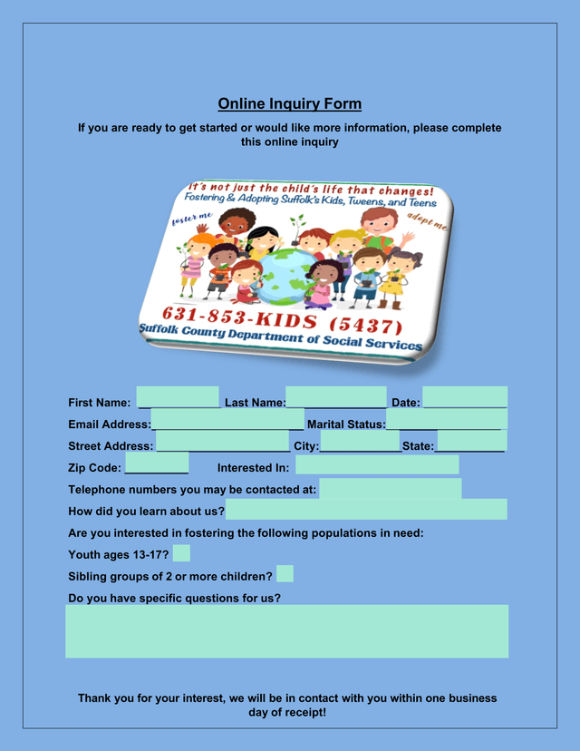 Online Inquiry Form screenshot