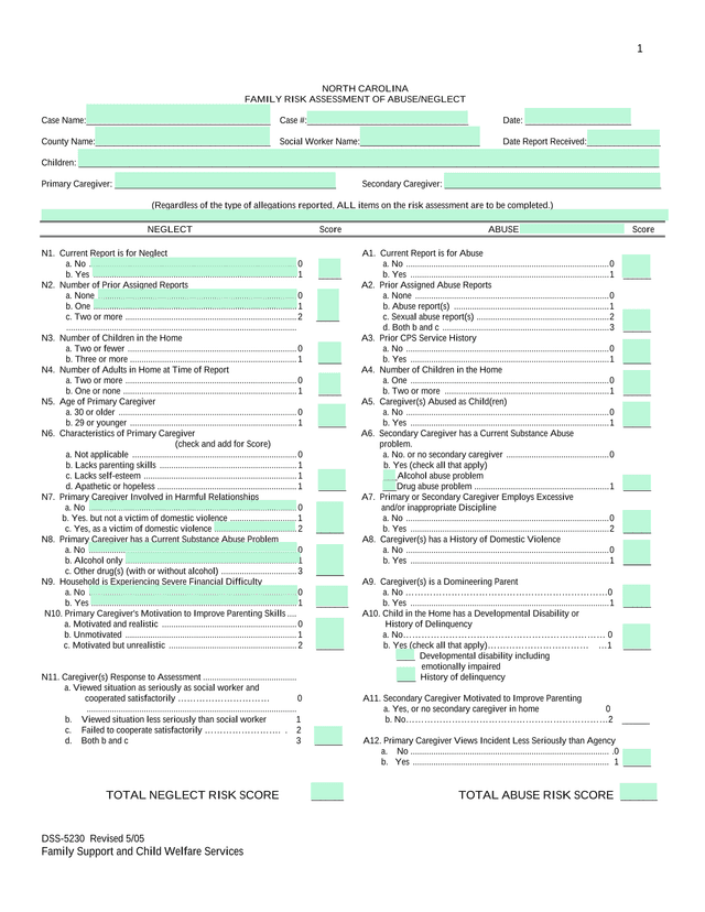 North Carolina Family Risk Assessment Of AbuseNeglect screenshot