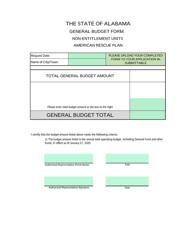 General Budget Form screenshot