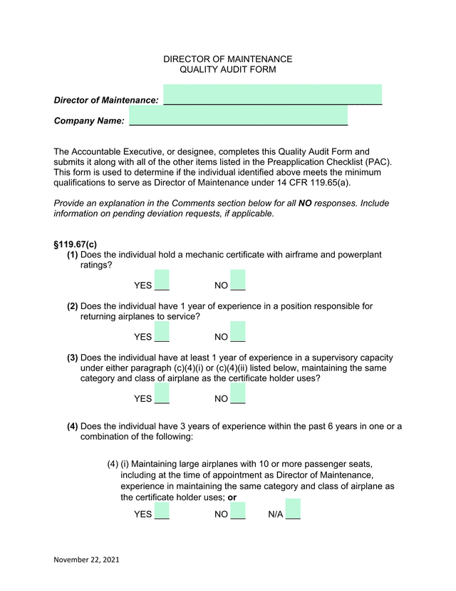 Director Of Maintenance Quality Audit Form screenshot