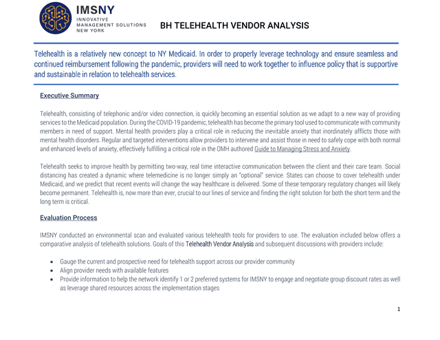 BH Telehealth Vendor Analysis screenshot