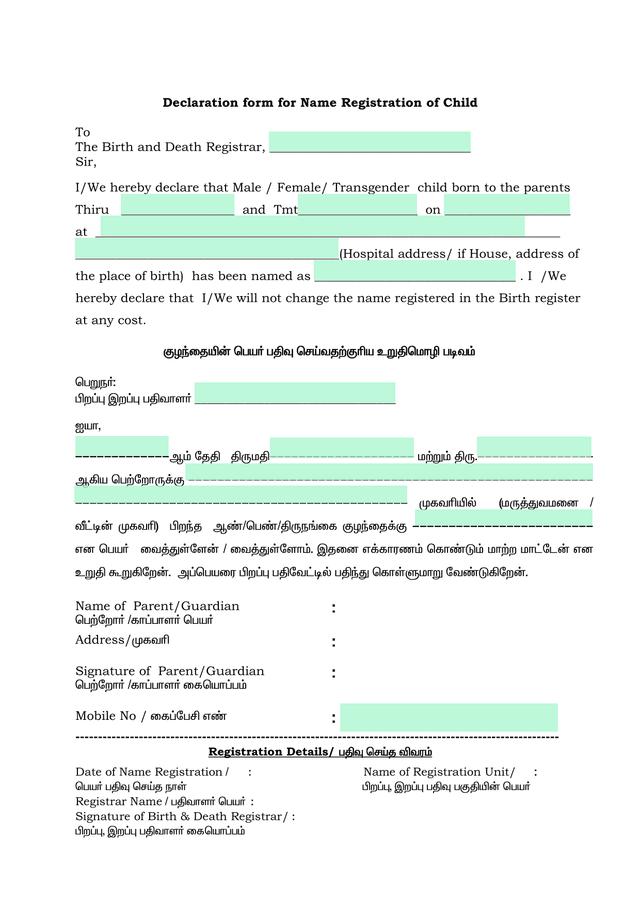 Declaration Form For Name Registration Of Child screenshot