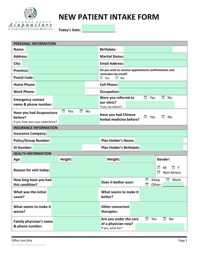 NEW PATIENT INTAKE FORM screenshot
