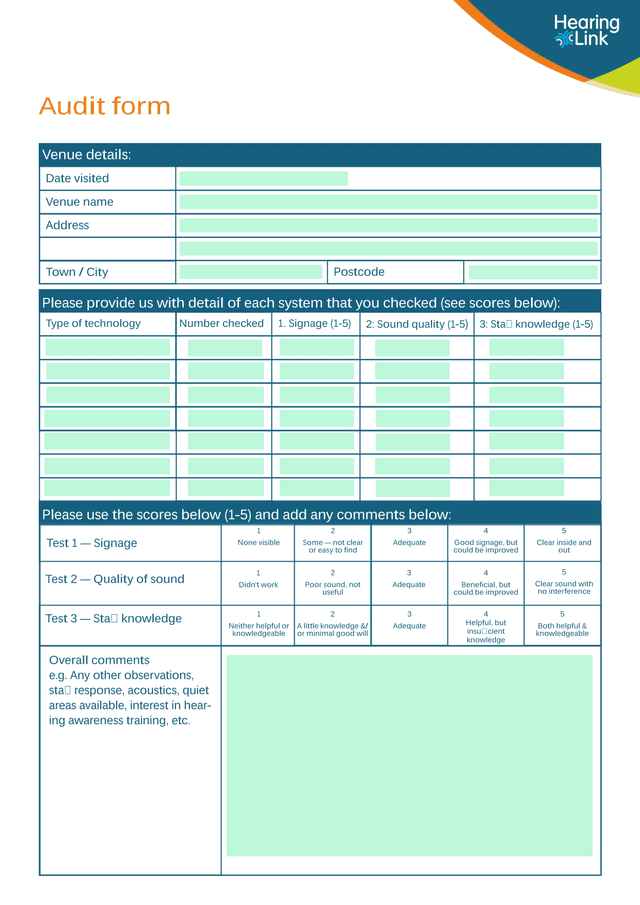 Audit Form screenshot