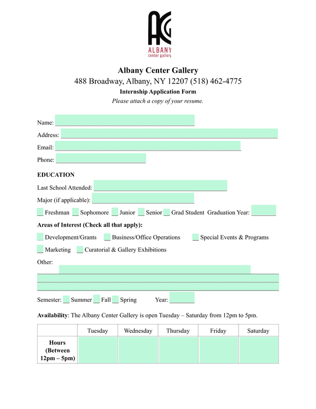 Albany Center Gallery Internship Application Form screenshot