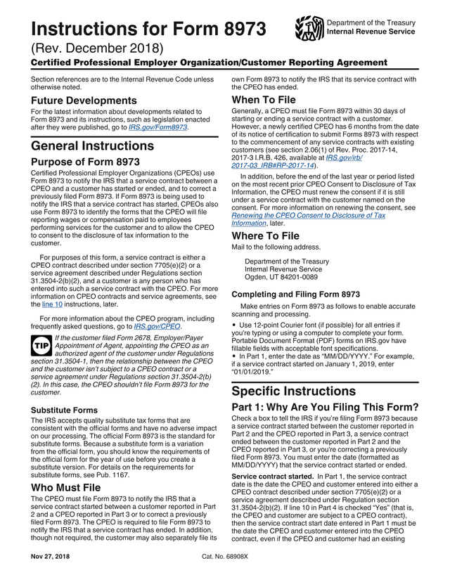 Form 8973 Instructions screenshot