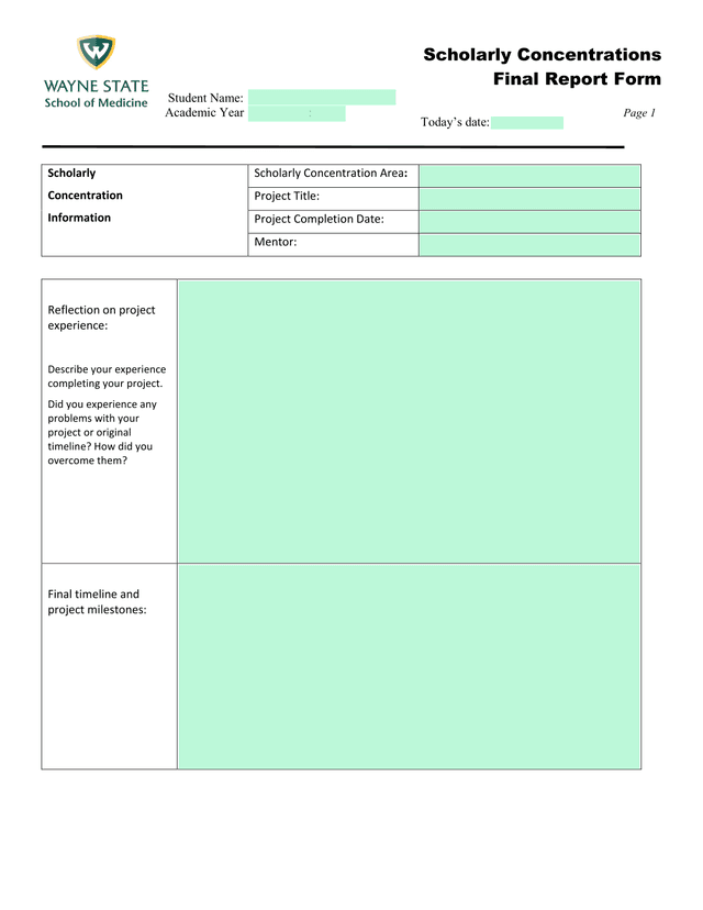 Scholarly Concentrations Final Report Form screenshot