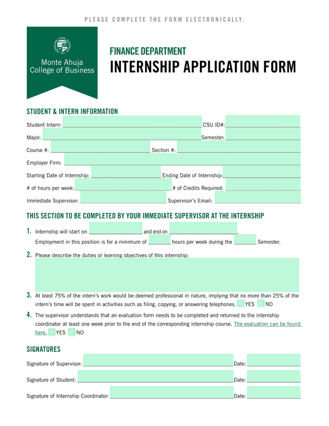 INTERNSHIP APPLICATION FORM screenshot