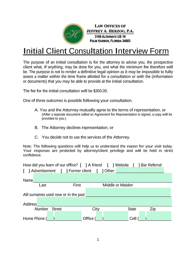 Initial Client Consultation Interview Form screenshot