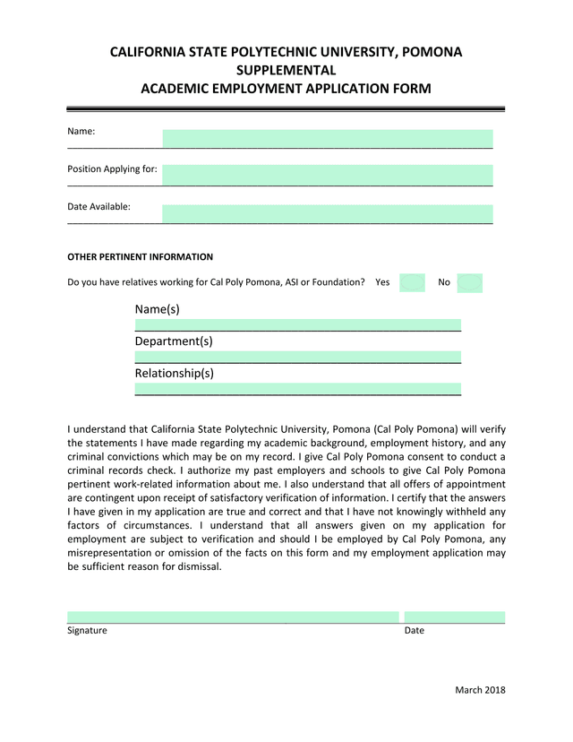 Supplemental Academic Employment Application Form screenshot