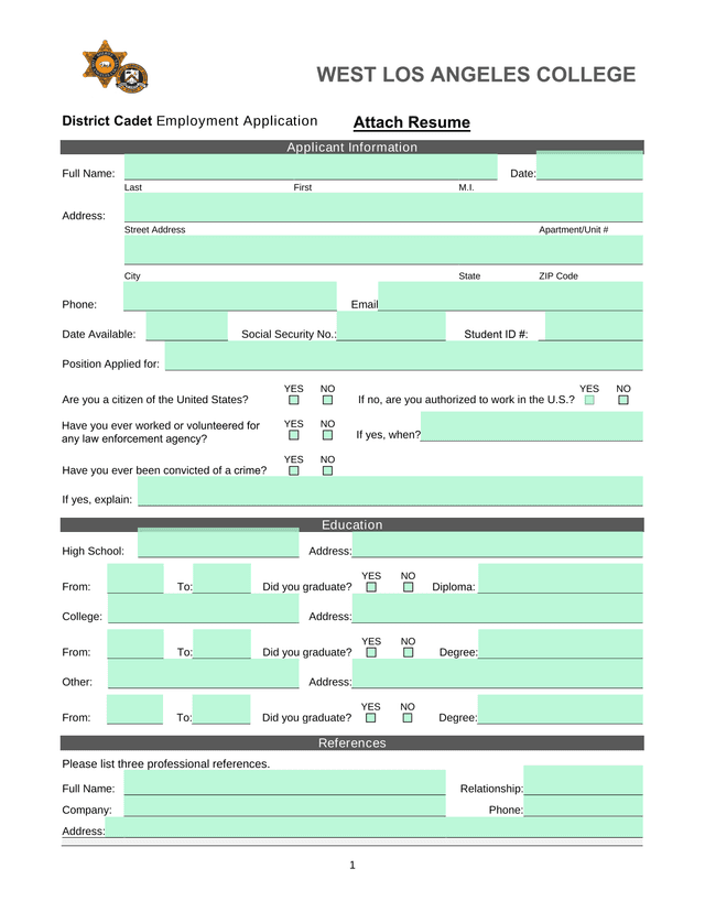 District Cadet Employment Application screenshot