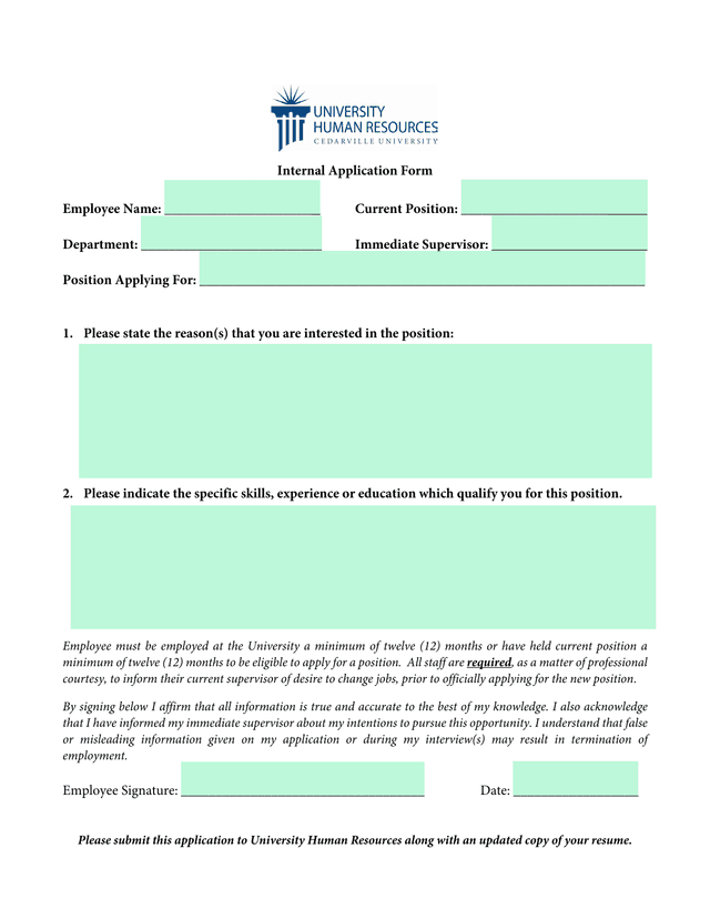 Internal Application Form screenshot