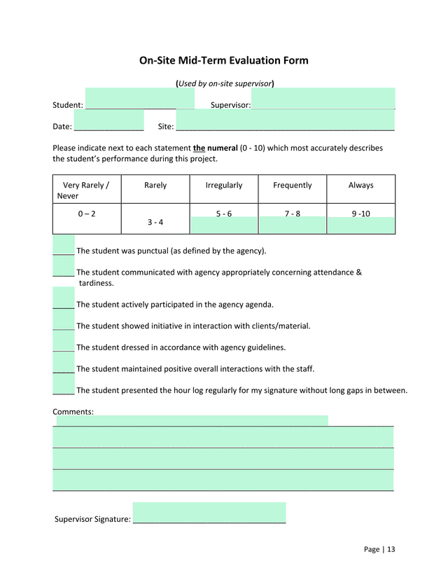 On Site Mid Term Evaluation Form screenshot