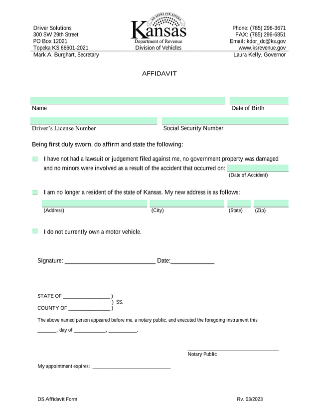 DS Affidavit Form screenshot