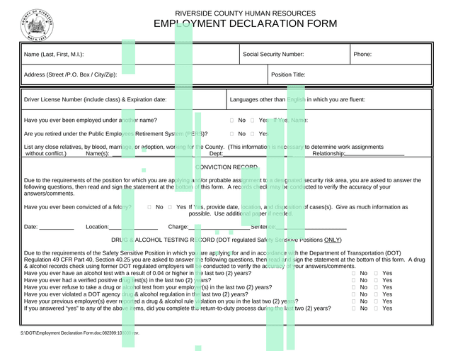 Employment Declaration Form screenshot