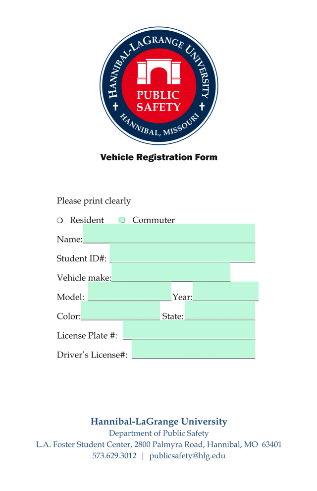 Vehicle Registration Form screenshot