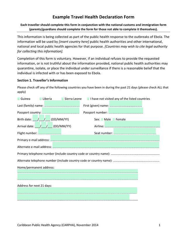 Example Travel Health Declaration Form screenshot