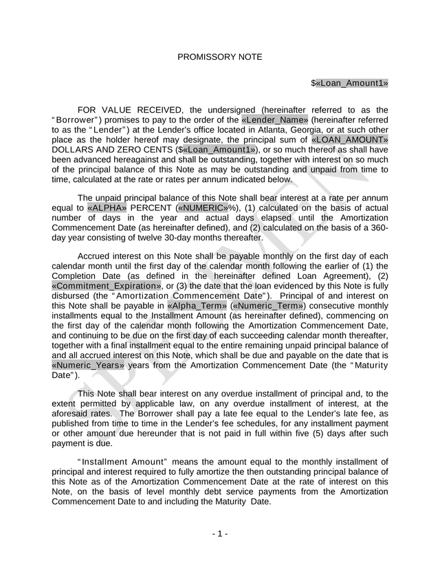 Promissory Note screenshot
