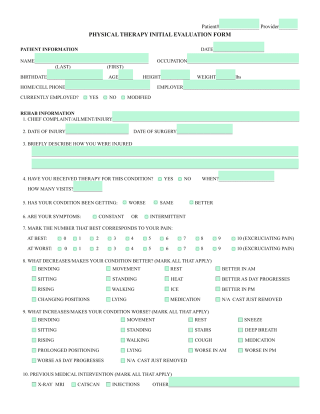 Physical Therapy Initial Evaluation Form screenshot