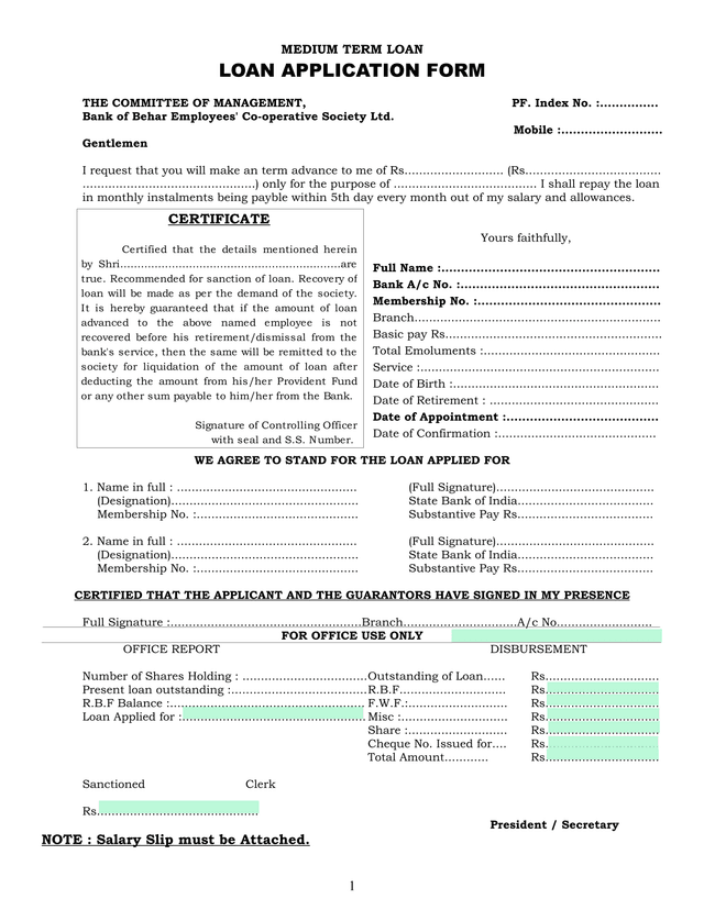 Medium Term Loan Application Form screenshot