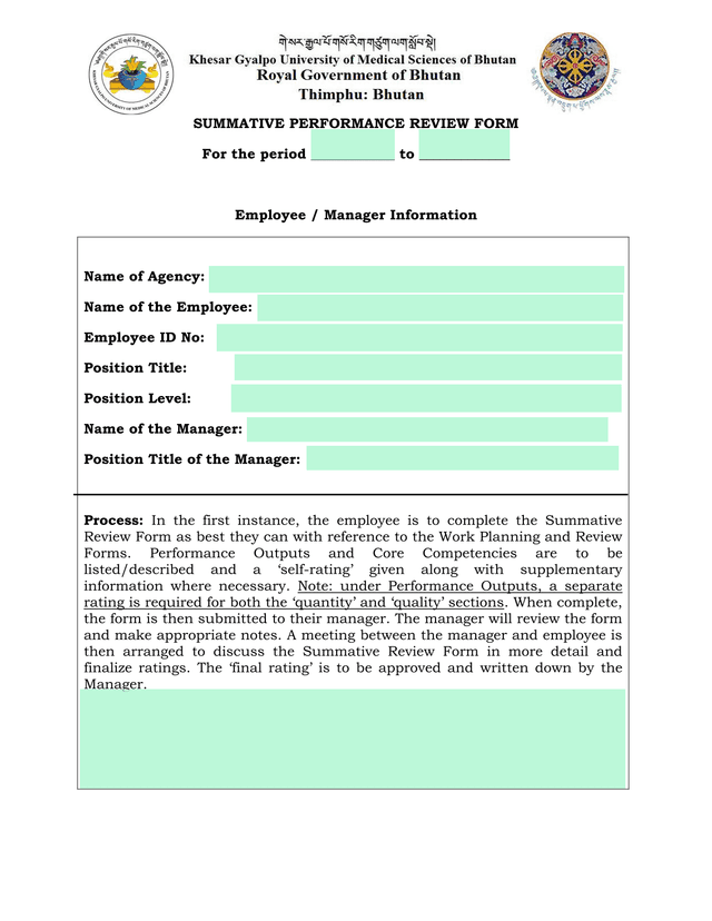 Summative Performance Review Form screenshot